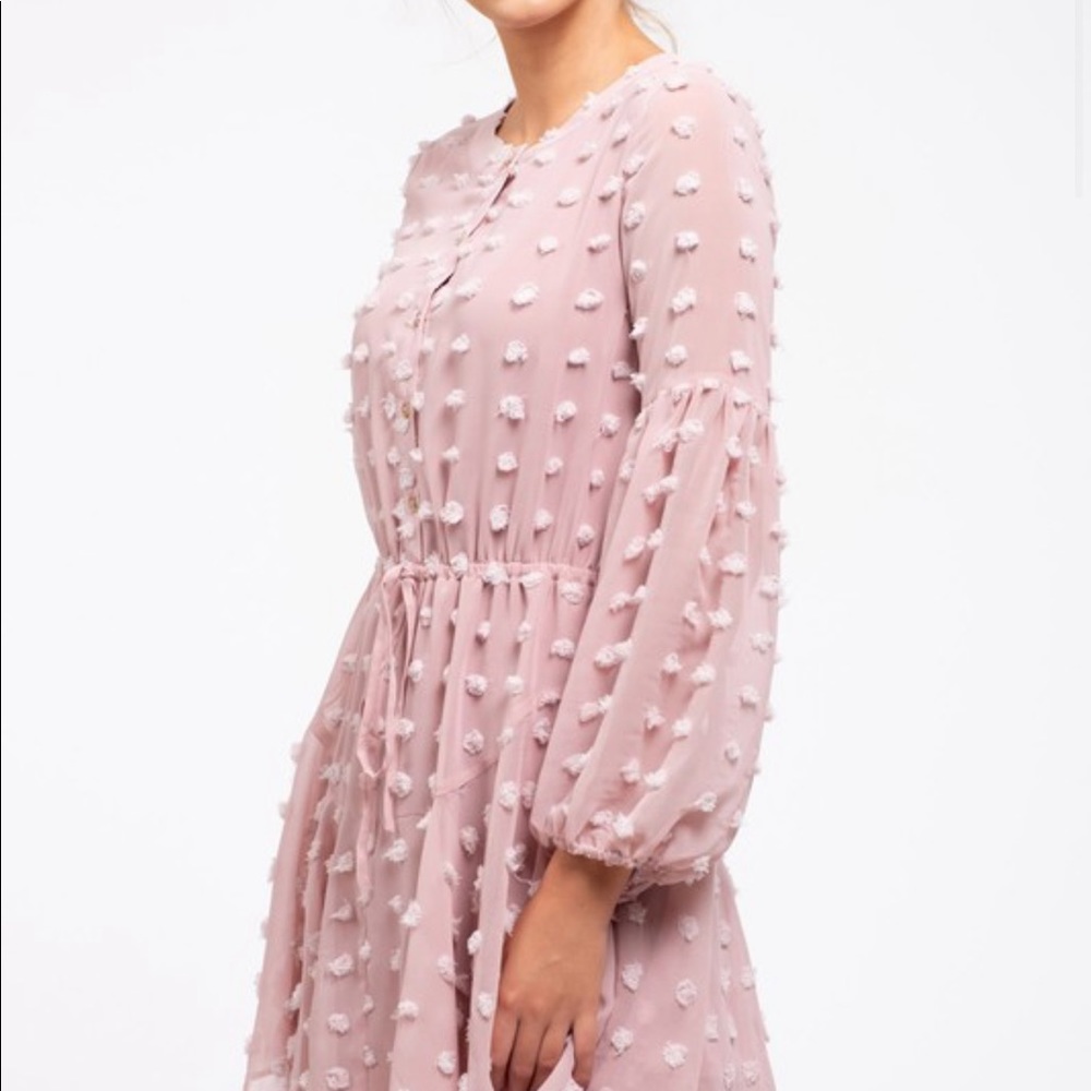 Small Blu Pepper Pink Swiss Dot Mini dress - Picture 3 of 4